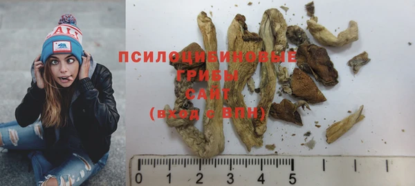 мет Осинники