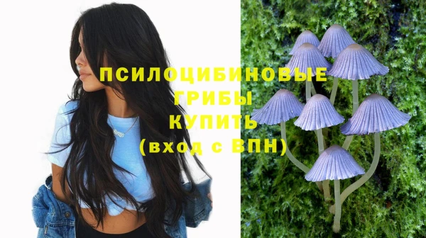 мет Осинники
