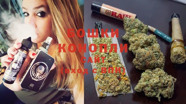 СК Няндома