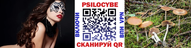 Галлюциногенные грибы прущие грибы  купить наркотик  Суздаль 