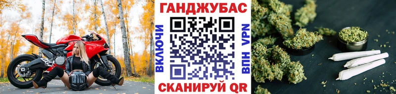 наркотики  Суздаль  MEGA маркетплейс  Шишки марихуана семена 